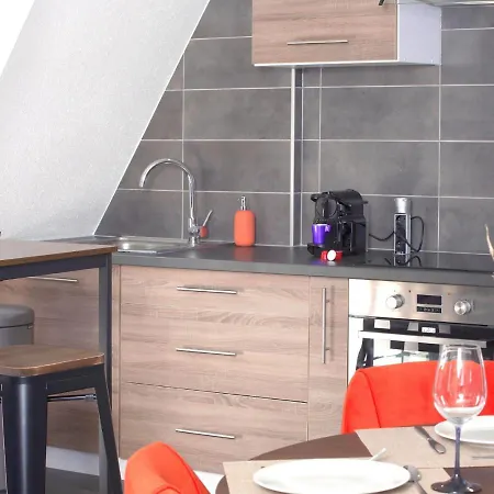 Duplex - Le Cosy - Hyper Centre Apartamento Haguenau Exterior foto