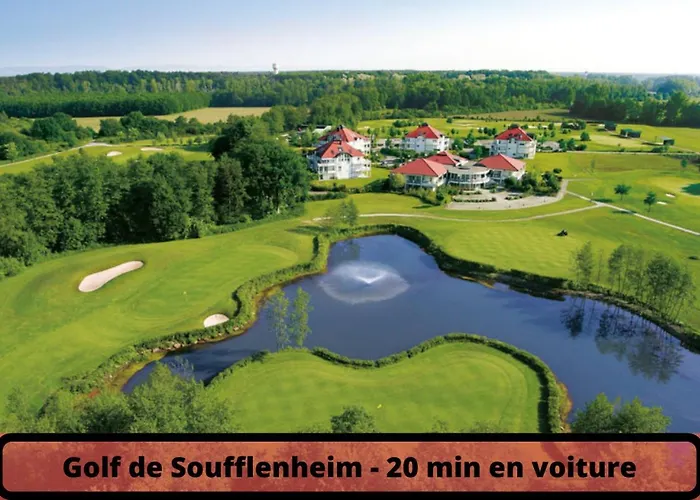 Duplex - Le Cosy - Hyper Centre