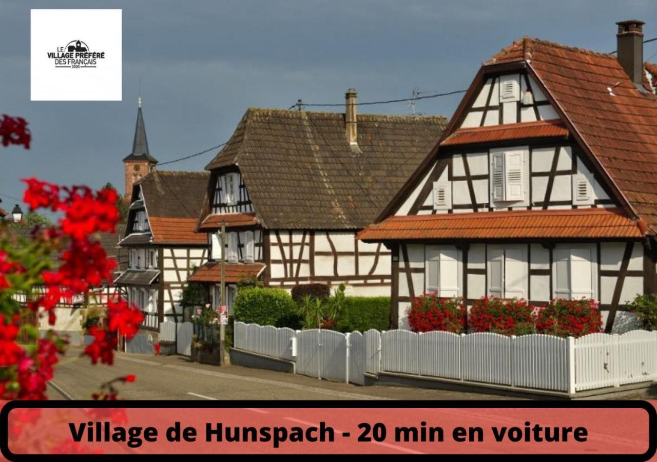 Apartment Duplex - Le Cosy - Hyper Centre Haguenau