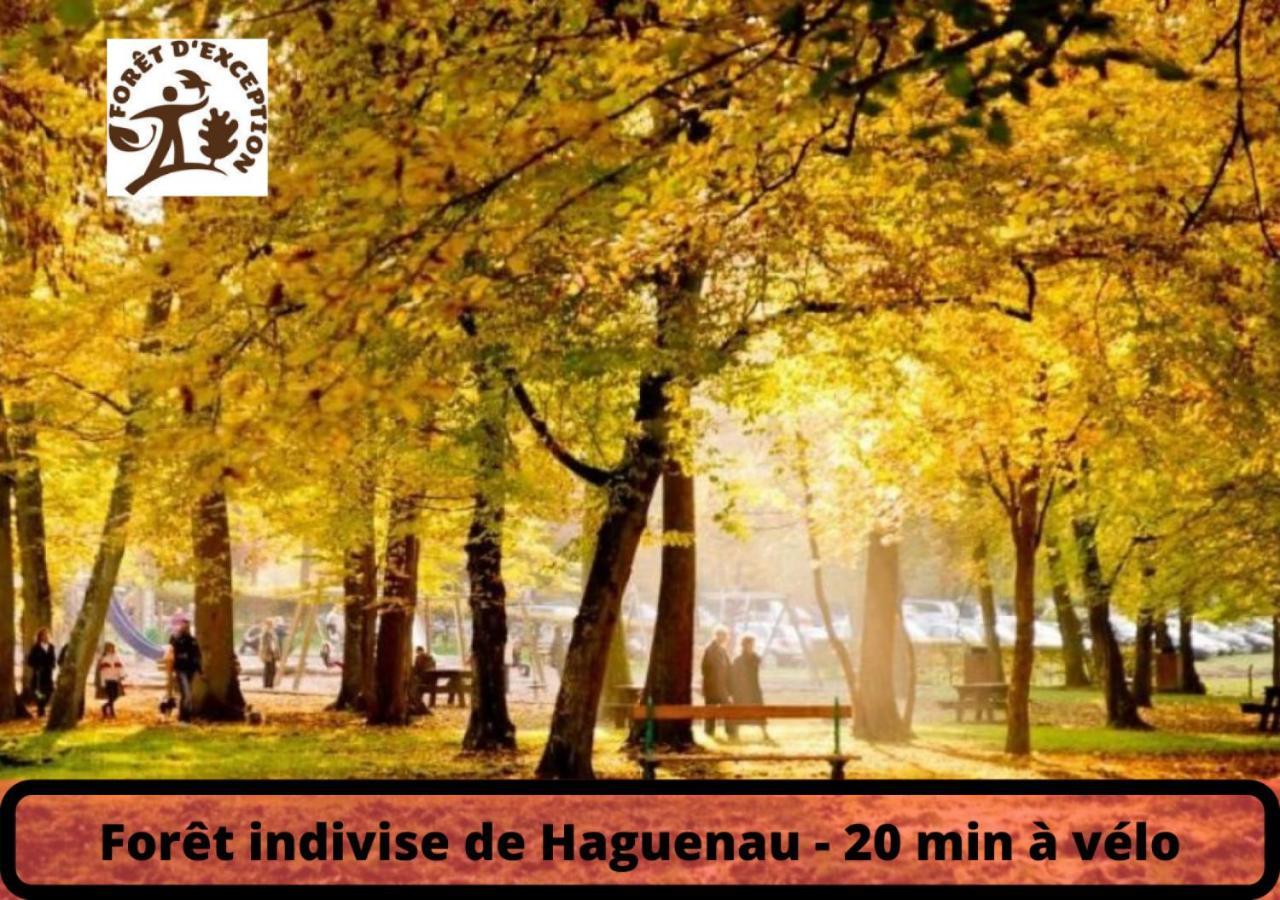 Duplex - Le Cosy - Hyper Centre